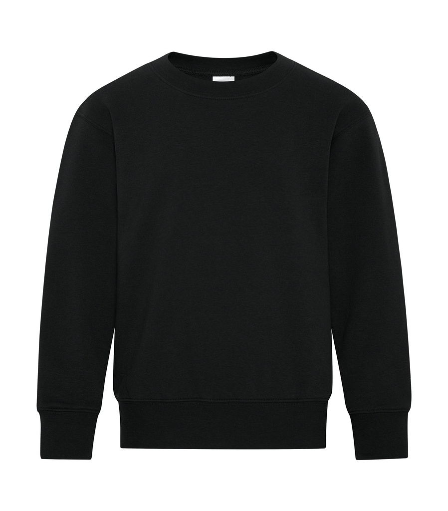 ATCᴹᶜ Everyday Collectionᴹᴰ ATCᴹᶜ CHANDAIL EN MOLLETON COL ROND EVERYDAY POUR JEUNES